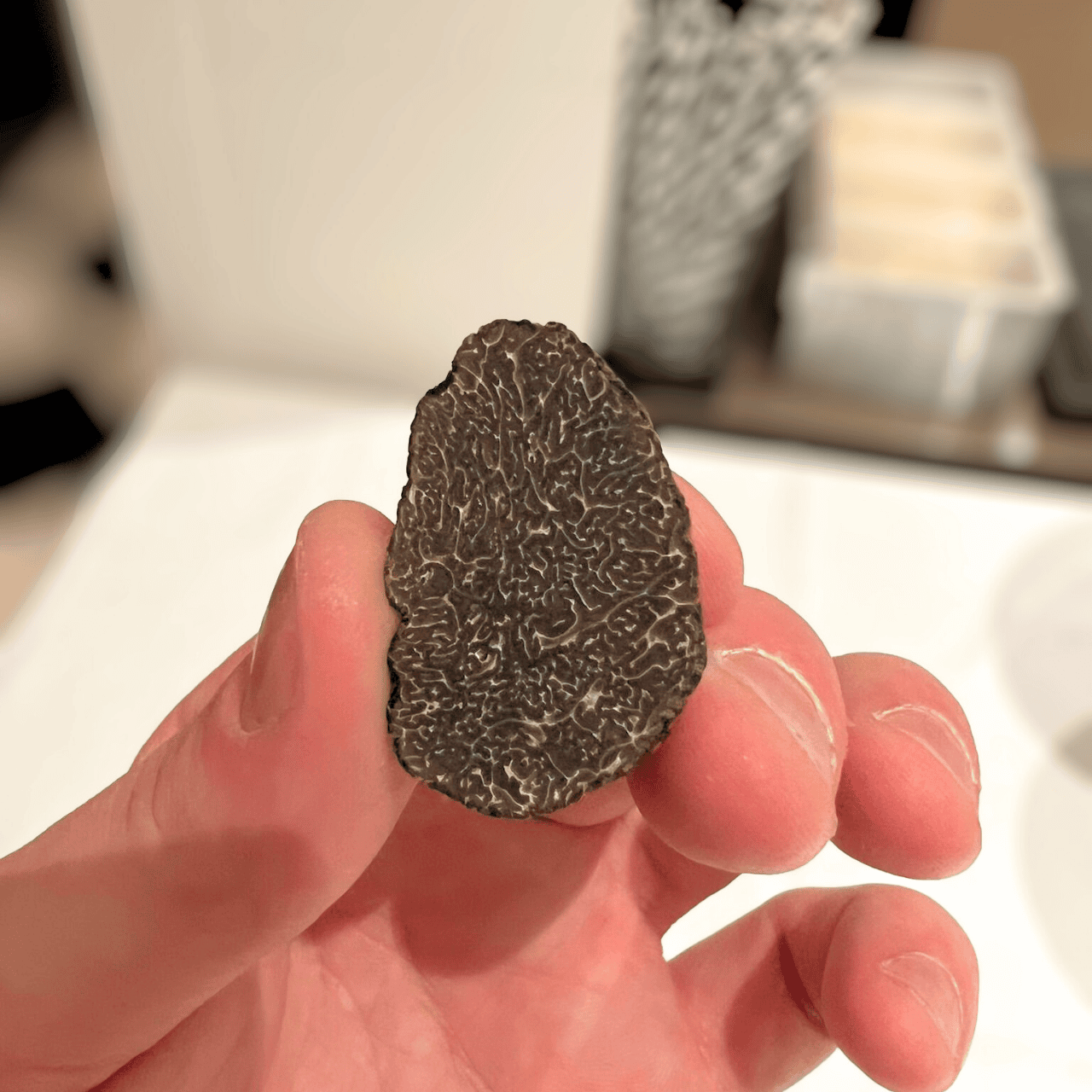 Frischer Feiner Schwarzer Trüffel
