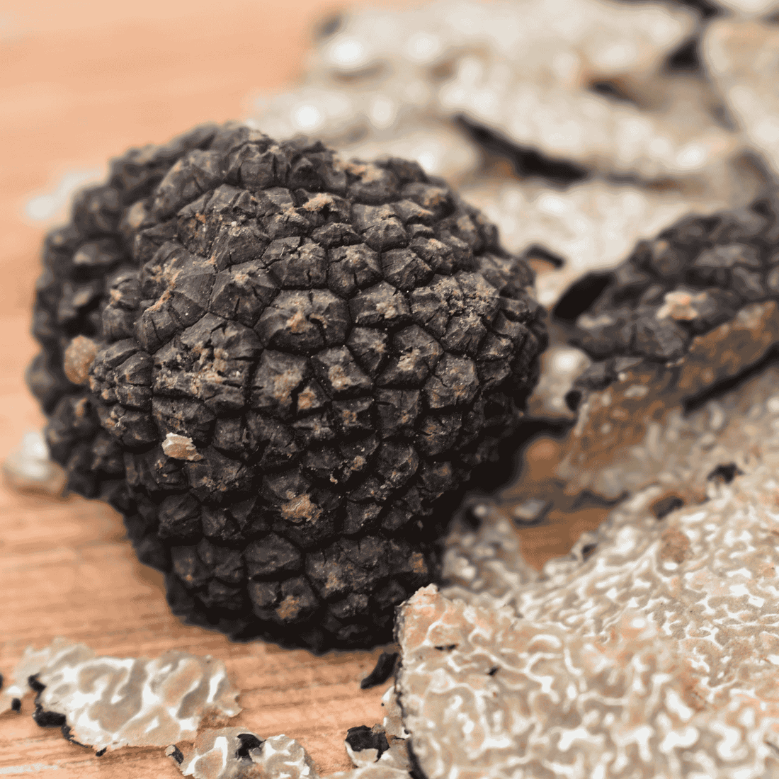 Uncinatum Trüffel Herbstlich